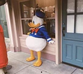 娱乐圈爆料唐老鸭事件,唐老鸭事件真相揭秘  第1张