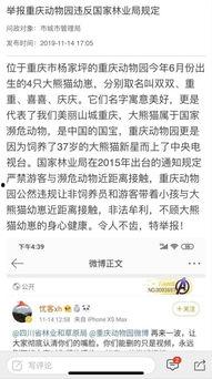 重庆问政最新爆料,揭露背后惊人真相  第1张